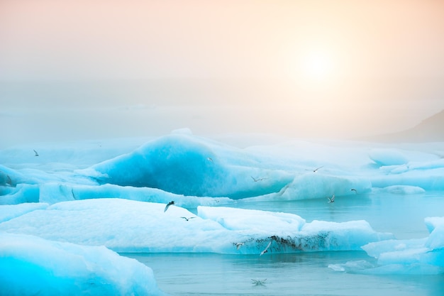 Icebergs bleus dans la lagune glaciaire de Jokulsarlon au coucher du soleil, dans le sud de l'Islande. Beaux paysages islandais