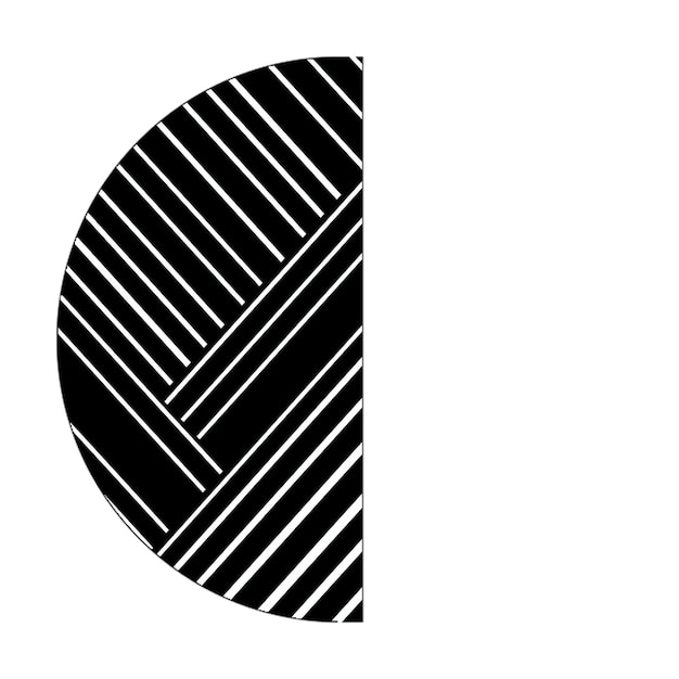 icônes photo cercle moitié icône lignes diagonales noires et blanches