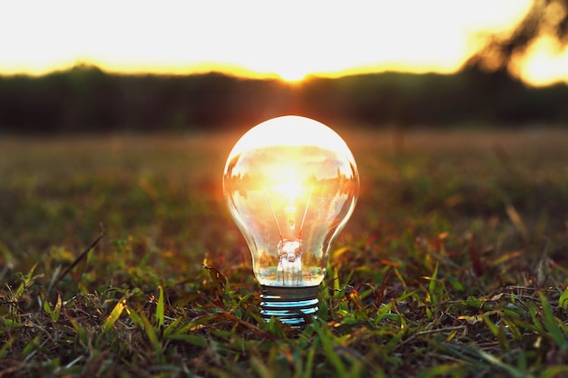 Idée concept ampoule debout sur l&#39;herbe et le coucher du soleil dans la nature