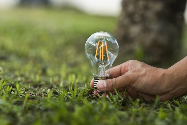 Idée d'énergie solaire dans la nature, main tenant le concept d'ampoule