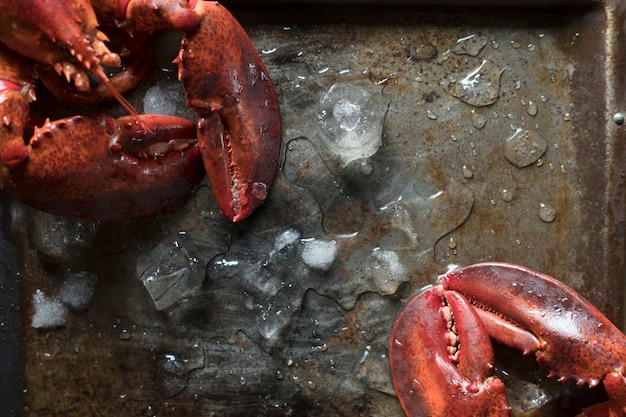 Idée de recette de photographie de nourriture de homard cuit