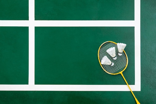 Idée de sport de compétition avec des raquettes de badminton et une manette