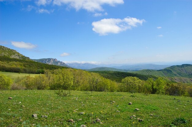 Idoles en pierre de la montagne South Demerdzhi sur fond de nuages Crimée