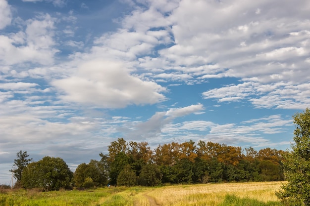 Idylle rurale Paysage avec une route rurale des arbres en arrière-plan et des nuages