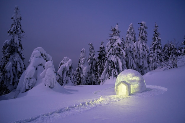 Igloo De Neige Dans La Forêt De Montagne D'hiver