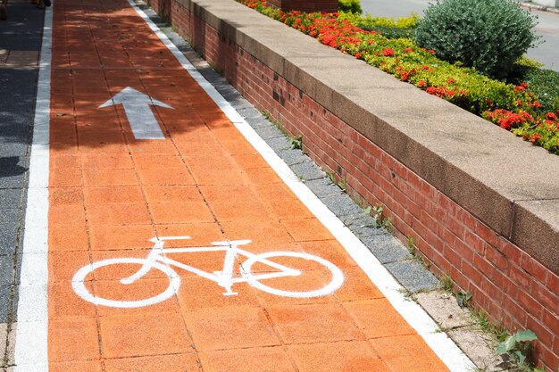 Ike lane et symbole de vélo blanc