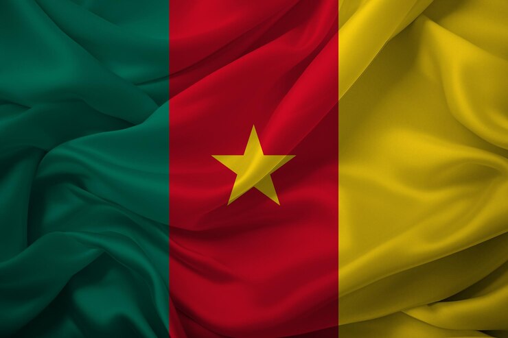 Il agite le drapeau du Cameroun.