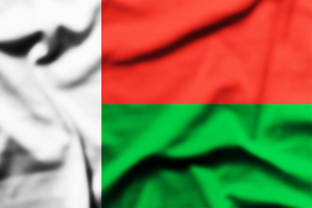 Photo il agite le drapeau de madagascar.