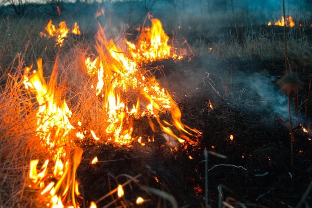 Il chalut la nuit en émettant de nombreux gaz à effet de serre dans l'air, ce qui constitue une menace pour l'environnement