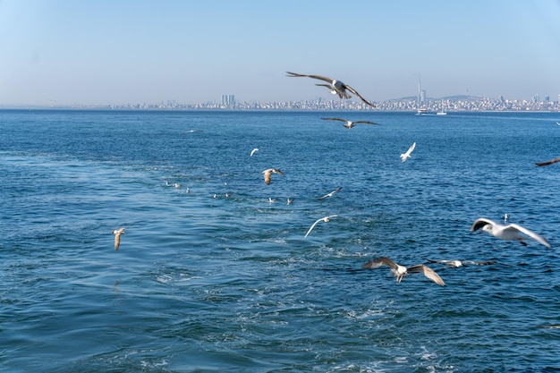 Il est à Istanbul.