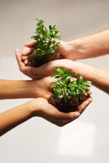 Il est temps de grandir Photo recadrée de deux personnes tenant des plantes poussant hors du sol