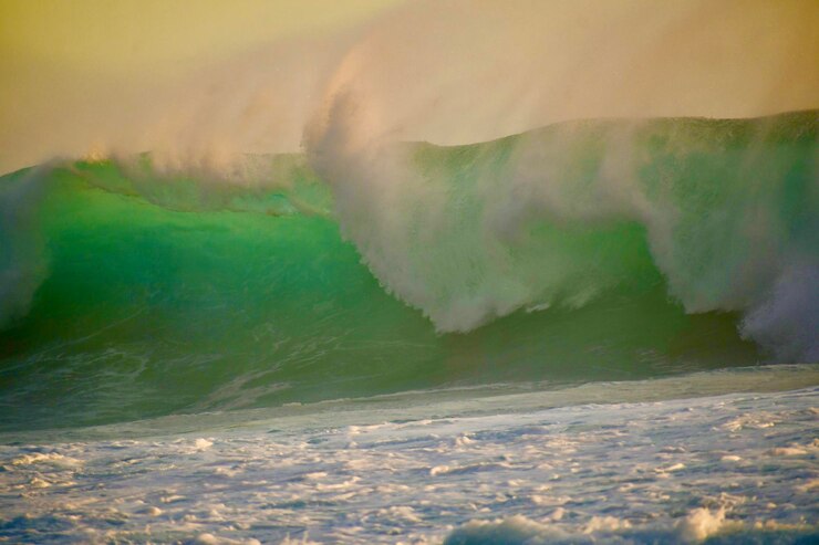 Photo il est vague.