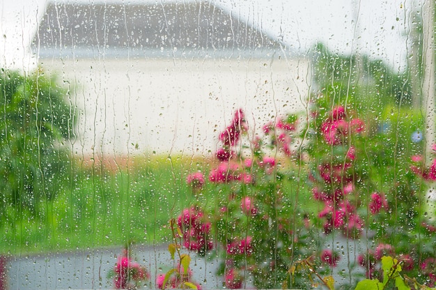 Il pleut jour. Gouttes de pluie sur la fenêtre.