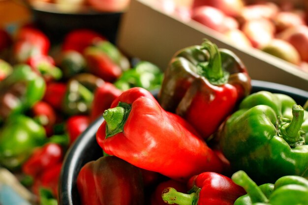 Il s'agit d'une nouvelle récolte de légumes du jardin du village Beaucoup de tomates rouges mûres et de poivrons doux