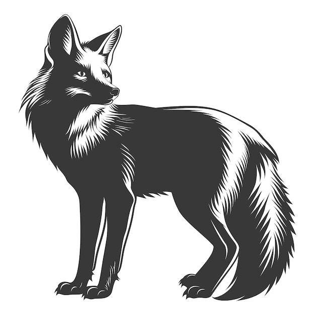 Il s'agit d'un renard silhouetté, d'un animal noir et d'un corps entier.