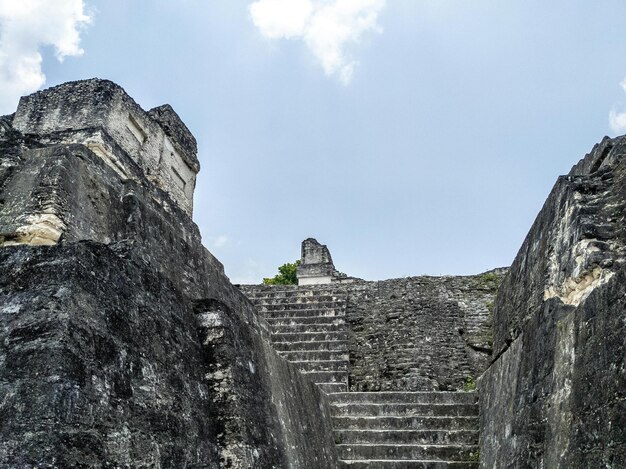 Il s'agit d'un uxmal.