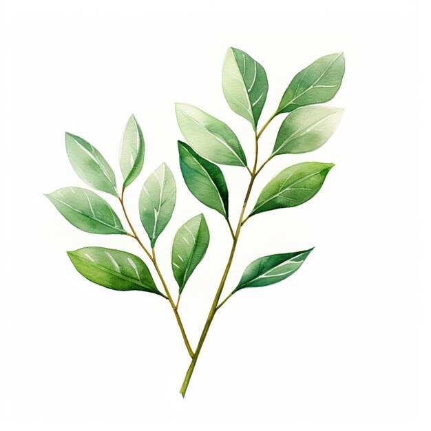 il y a une aquarelle d'une plante avec des feuilles vertes ai générative