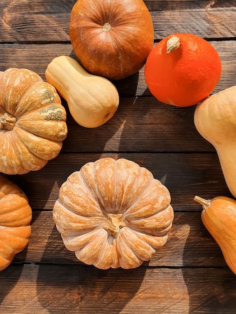 Il y a diverses citrouilles sur la table en bois