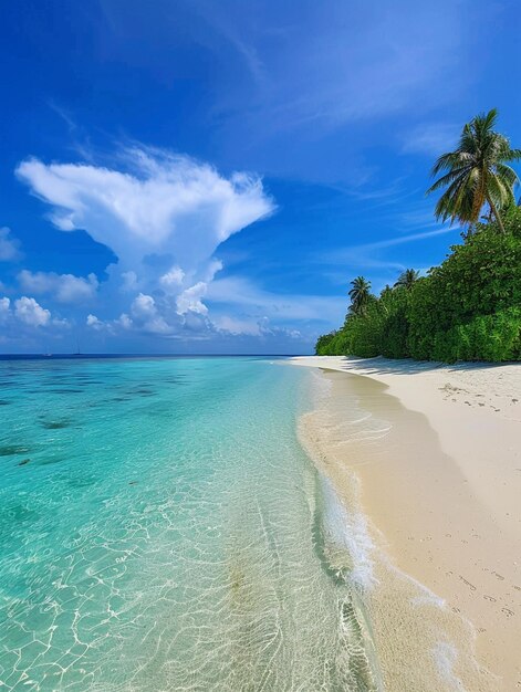 Il y a une plage de sable avec un palmier sur le rivage génératif ai