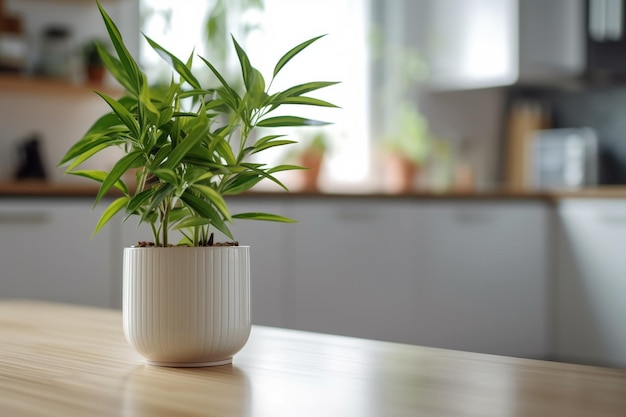 il y a une plante qui est assise dans un vase blanc ai génératif