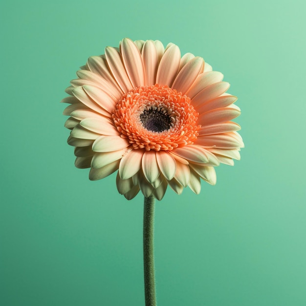 Il y a une seule fleur qui est dans un vase sur une table générative ai