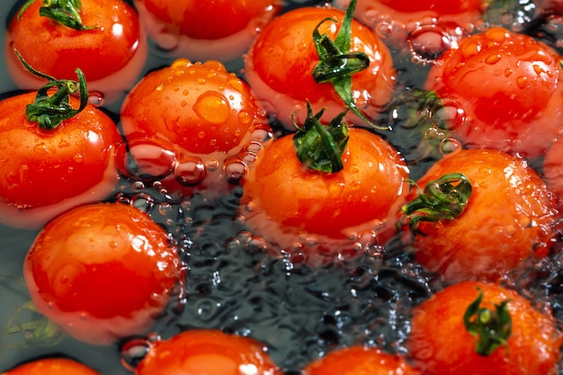 Il y a des tomates dans l'eau.