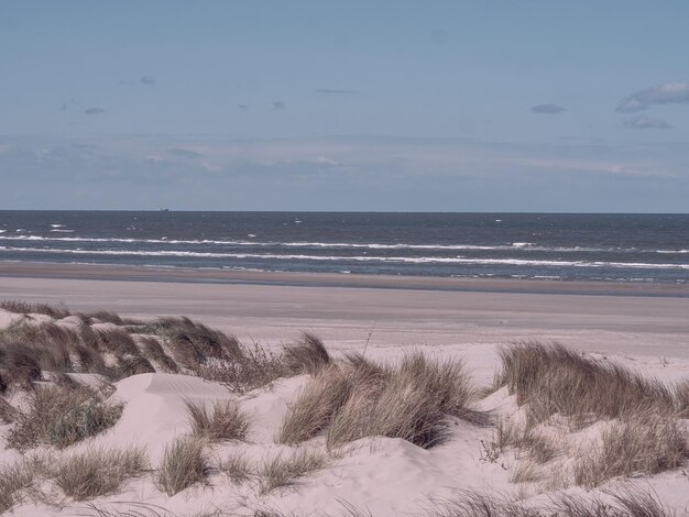 Photo l'île d'ameland aux pays-bas