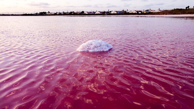 Photo Île blanche sur le lac rose