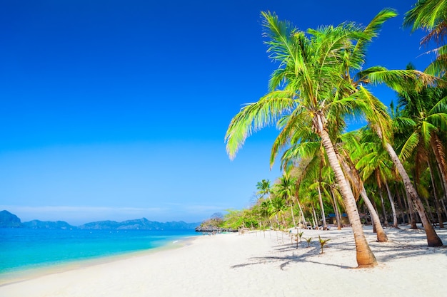 L'île d'El Nido Palawan aux Philippines