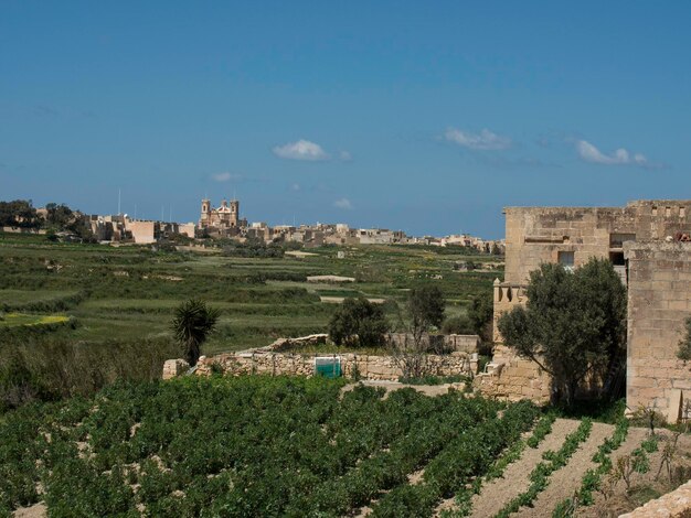 l'île de Gozo