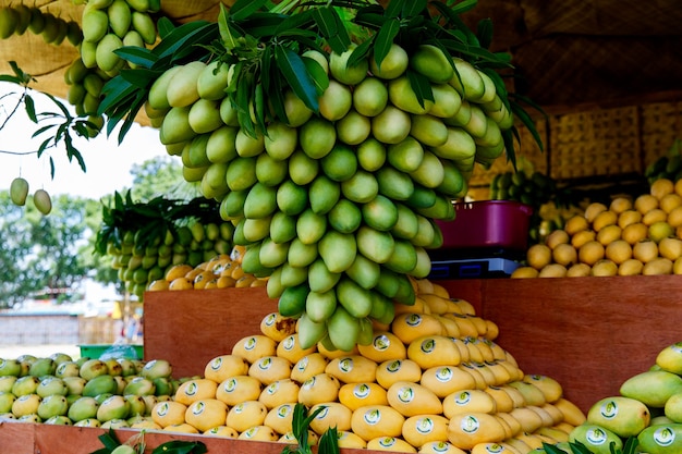 L'île de Guimaras aux Philippines en Asie du Sud-Est peut se tenir sur le stand du festival de la mangue avec des mangues fraîches dans le...