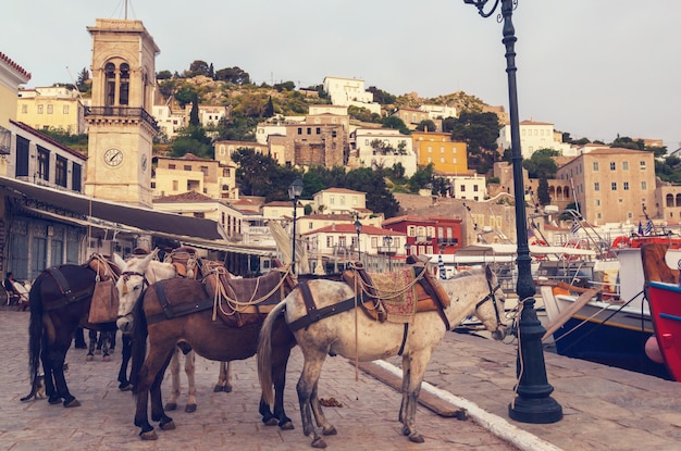 L'île d'Hydra originale en Grèce