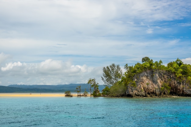 Une île indonésienne