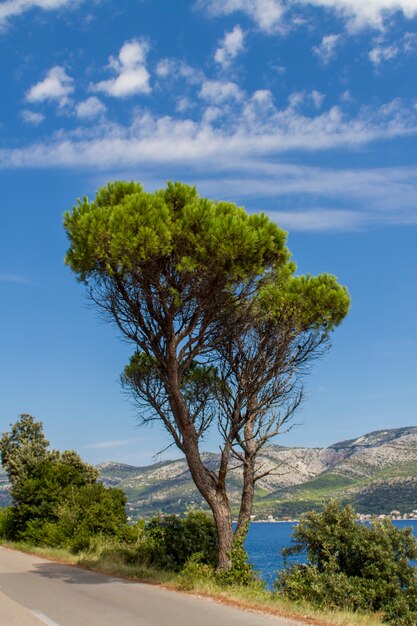 L'île de Korcula, Croatie