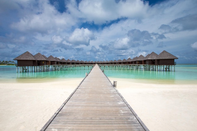 Île des Maldives avec plage