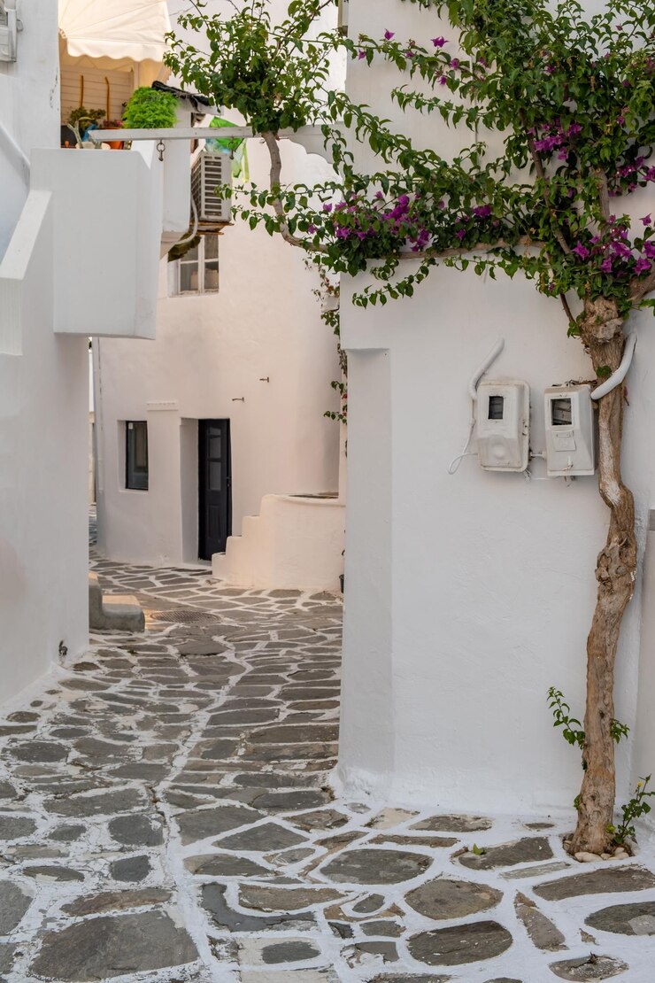 L'île de Paros Grèce Naousa vieille ville bâtiment blanchi à la chaux étroite ruelle pavée vide