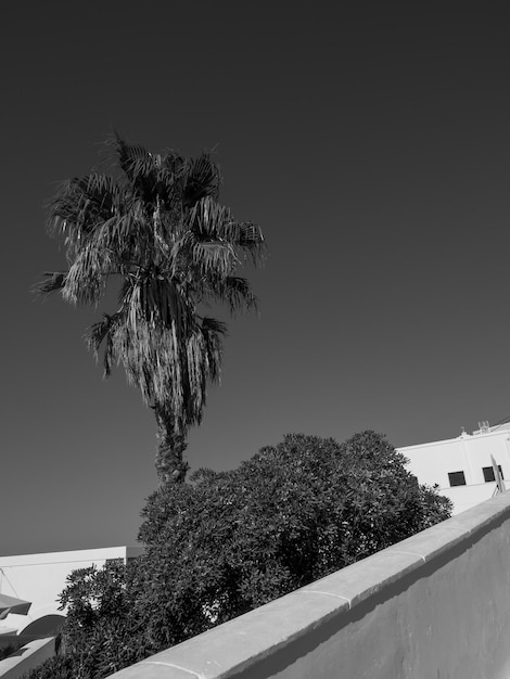 l'île de Santorin