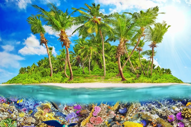 Île Tropicale Dans L'atoll De L'océan Tropical Et Monde Sous-marin Merveilleux Et Magnifique Avec Coraux Et Poissons Tropicaux.