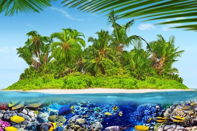 Île Tropicale Dans L'atoll De L'océan Tropical Et Monde Sous-marin Merveilleux Et Magnifique Avec Coraux Et Poissons Tropicaux.