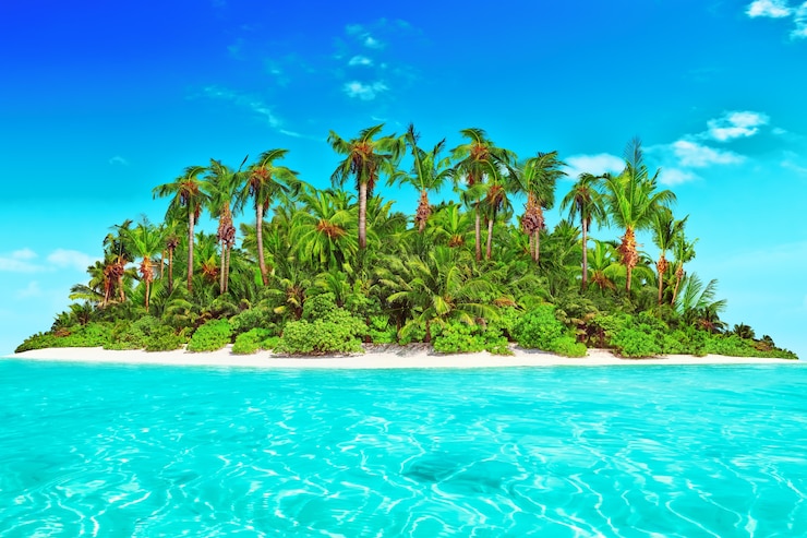 Photo île tropicale entière dans l'atoll dans l'océan tropical. île subtropicale inhabitée et sauvage avec des palmiers. partie équatoriale de l'océan, station balnéaire tropicale.