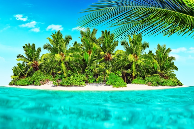 Photo île tropicale entière dans l'atoll dans l'océan tropical. île subtropicale inhabitée et sauvage avec des palmiers. partie équatoriale de l'océan, station balnéaire tropicale.
