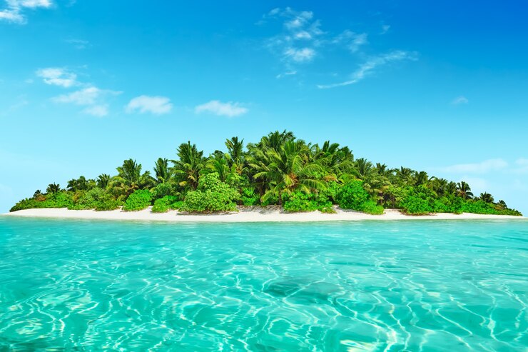 Photo île tropicale entière dans l'atoll dans l'océan tropical. île subtropicale inhabitée et sauvage avec des palmiers. partie équatoriale de l'océan, station balnéaire tropicale.