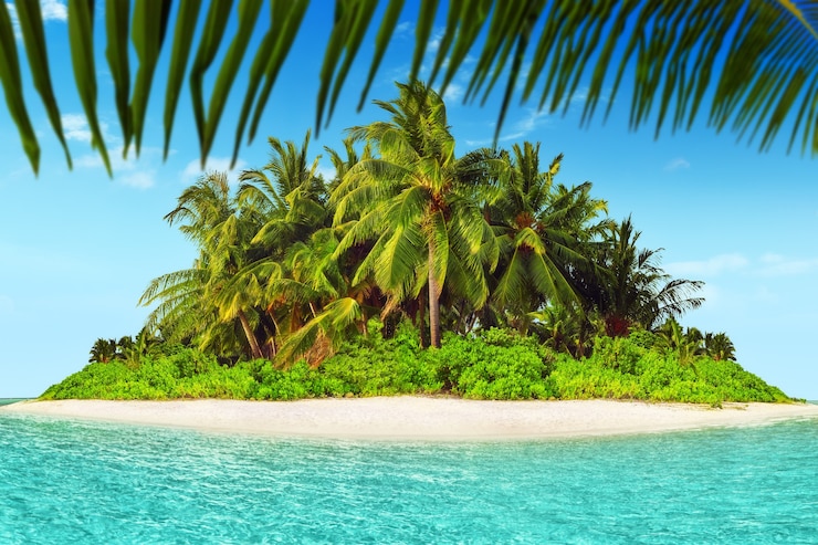 Photo île tropicale entière dans l'atoll dans l'océan tropical. île subtropicale inhabitée et sauvage avec des palmiers. partie équatoriale de l'océan, station balnéaire tropicale.
