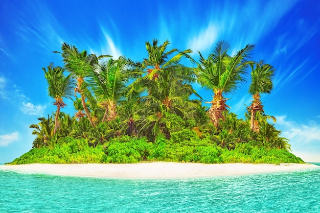 Photo Île tropicale entière dans l'atoll dans l'océan tropical. île subtropicale inhabitée et sauvage avec des palmiers. partie équatoriale de l'océan, station balnéaire tropicale.