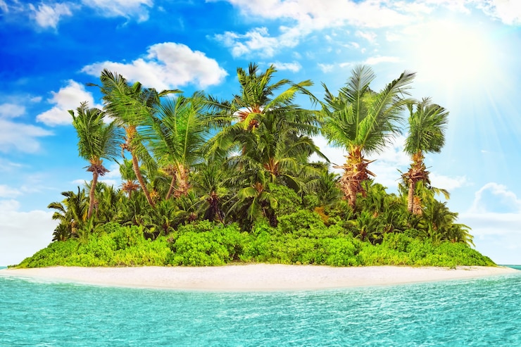 Photo île tropicale entière dans l'atoll dans l'océan tropical un jour d'été. île subtropicale inhabitée et sauvage avec des palmiers. partie équatoriale de l'océan, station balnéaire tropicale.