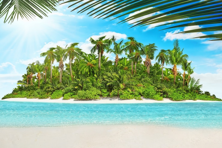 Photo île tropicale entière dans l'atoll de l'océan indien. île subtropicale inhabitée et sauvage avec des palmiers. sable vierge sur une île tropicale.