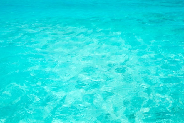 Île tropicale des Maldives avec plage de sable blanc et mer