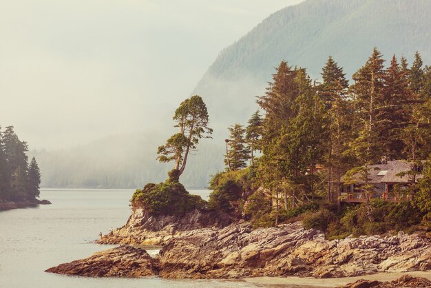 Île de Vancouver. Canada