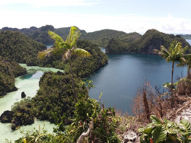 Photo une île vue de la mer