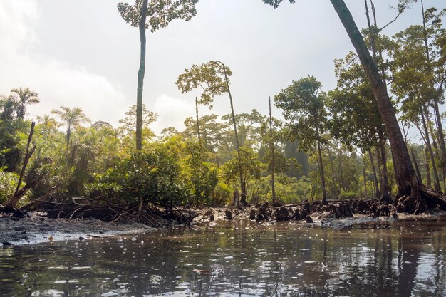 Îles Andaman et Nicobar Havelock Inde